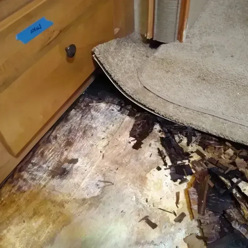 Wood Floor Water Damage in Elmont, NY